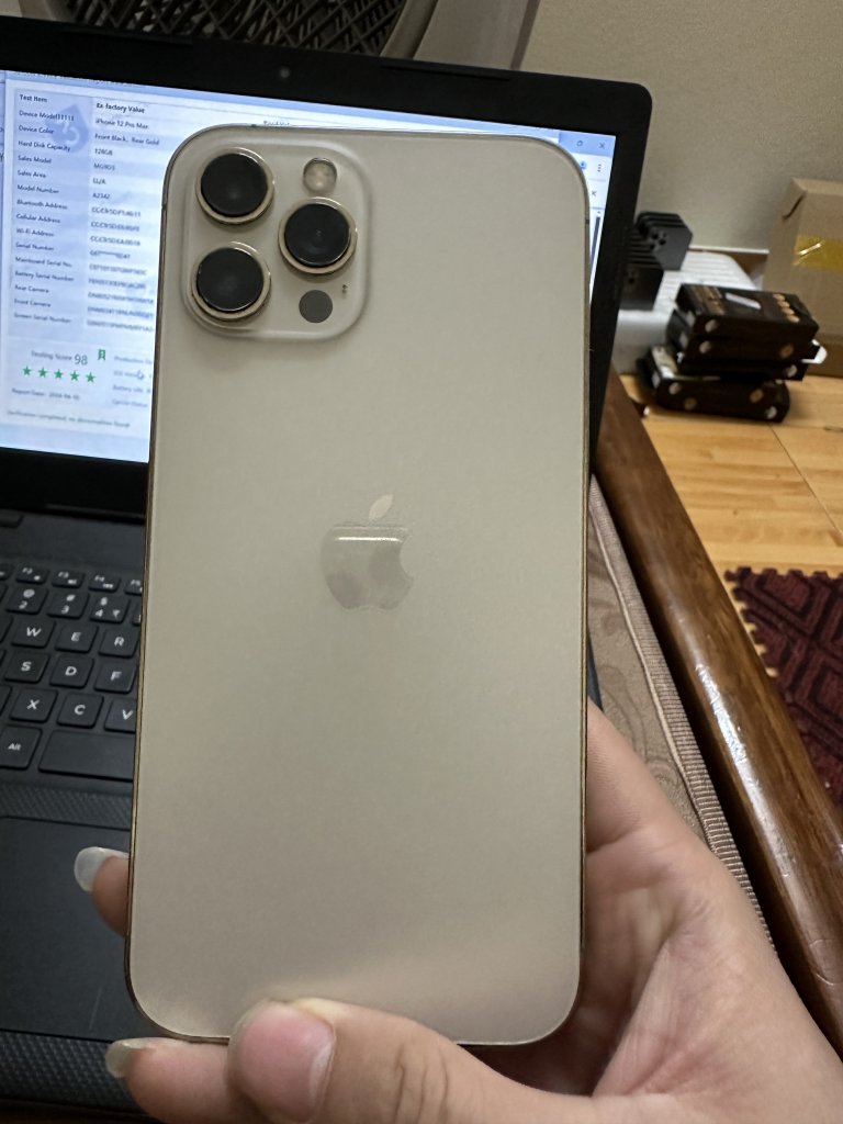 IMG_2784.jpeg
