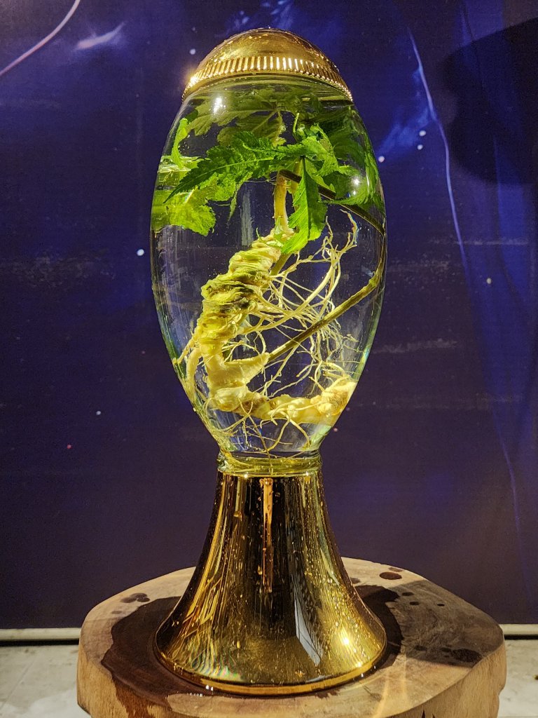 1000018311.jpg