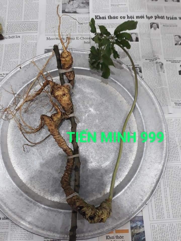 1000019304.jpg