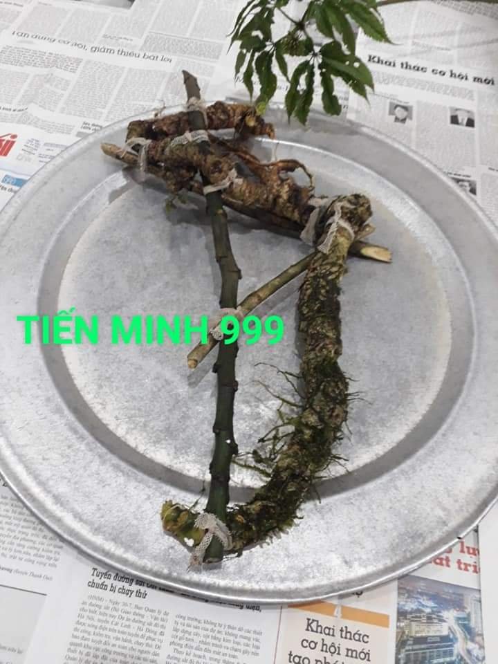 1000019303.jpg