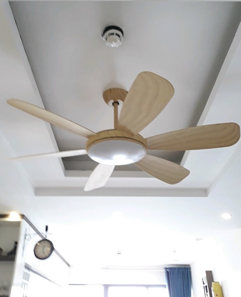 CC17040C-15C4-485D-AC4C-E1F315FFB2E9.jpeg
