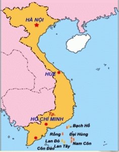 Hinh4.19.VitrimotsomodauvakhioVietNam.jpg.jpg