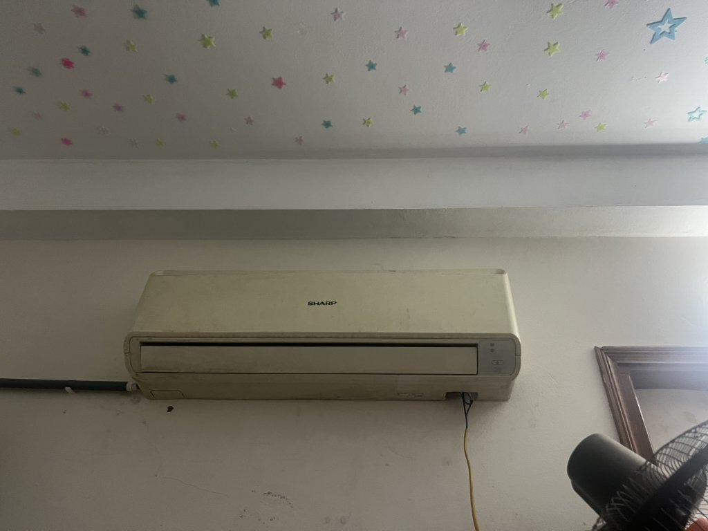 z5470508546510_276531daa11ecf2f98ba529ea10319a5.jpg