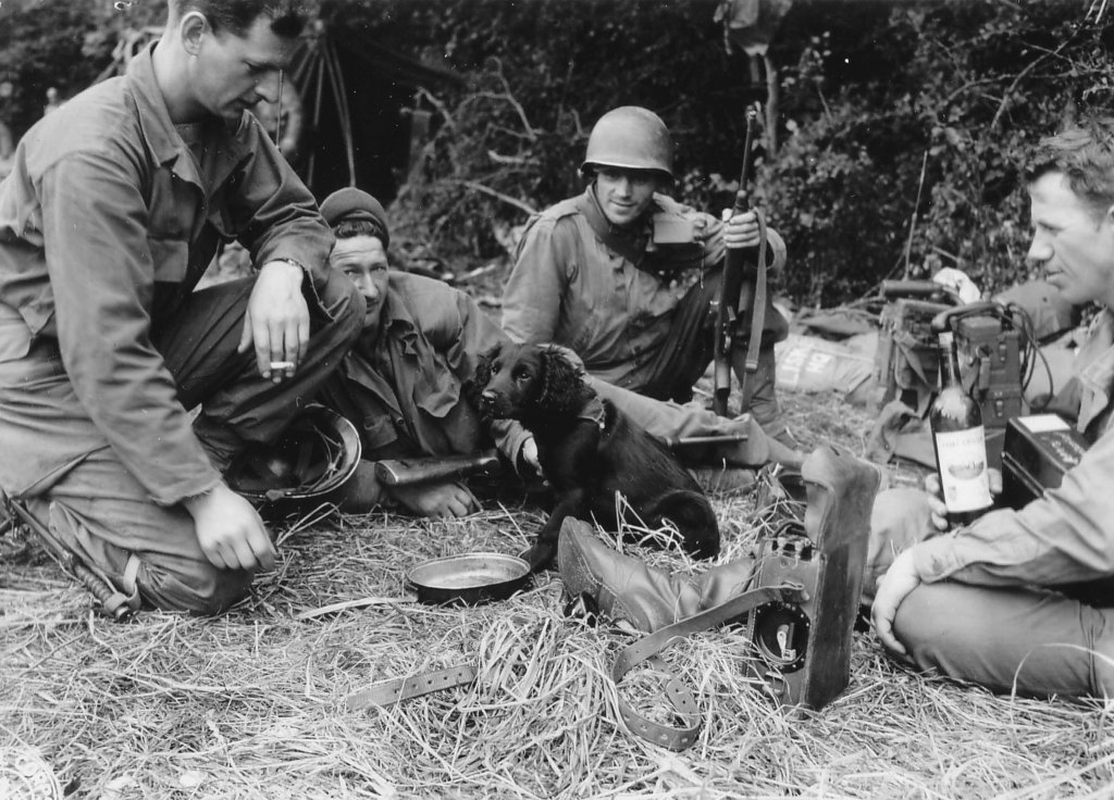 Normandy 1944_6_12 (14).jpg