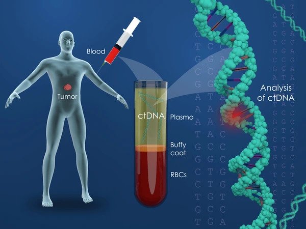 3d-illustration-ctdna-circulating-tumor-600nw-1925076506.jpg