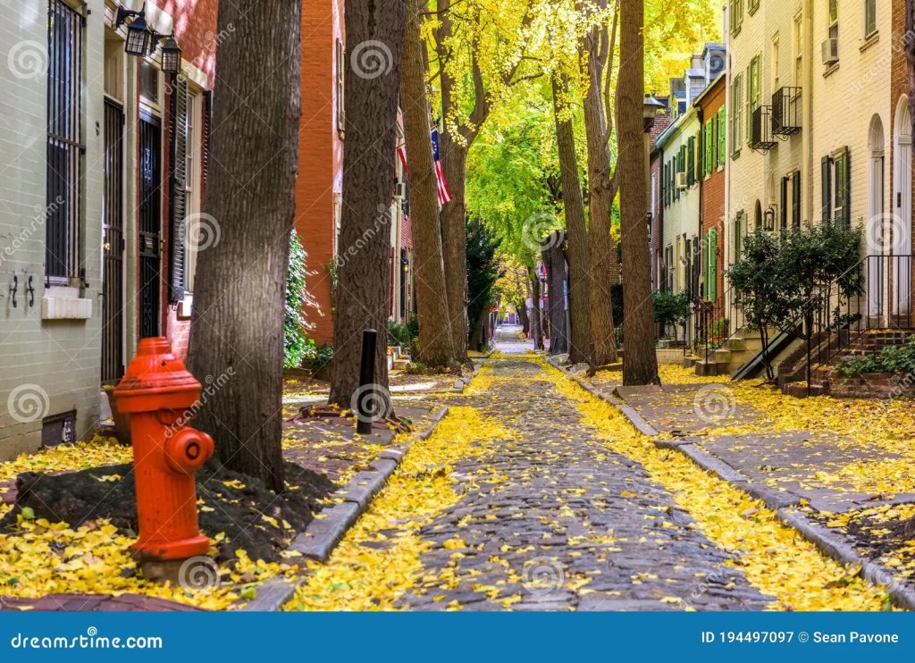 autumn-alleyway-philadelphia-pennsylvania-usa-traditional-neighborhood-194497097.jpg