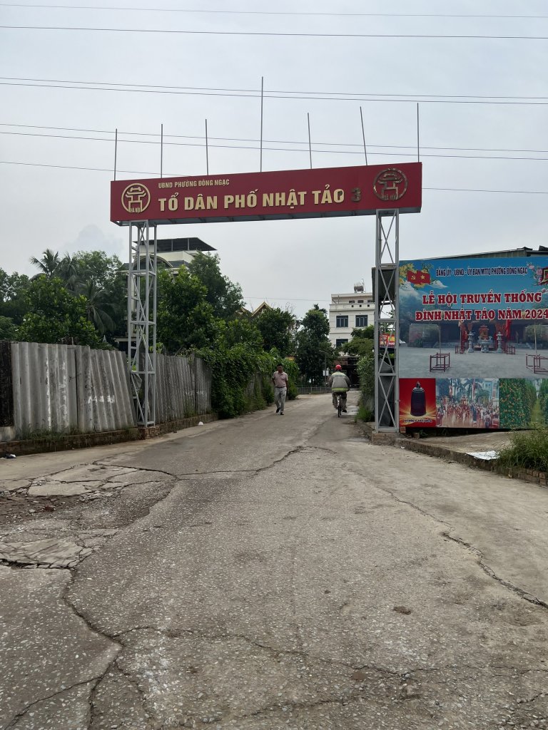 Nhật tảo 5.jpg