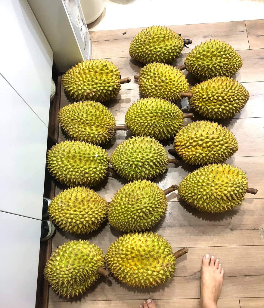 1000011236.jpg