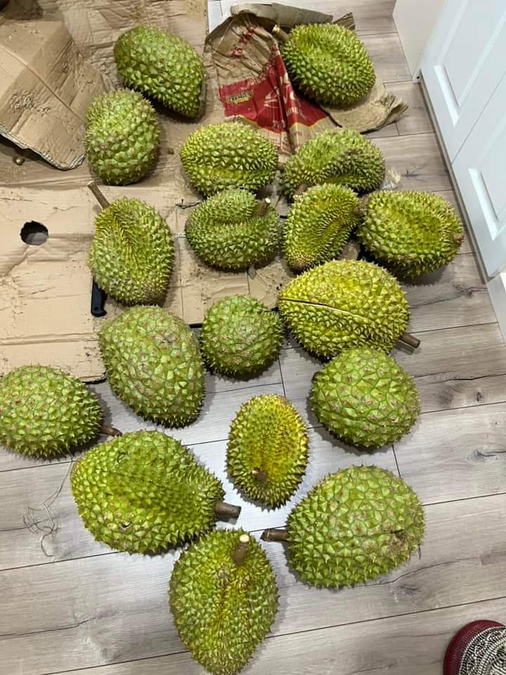 1000011240.jpg