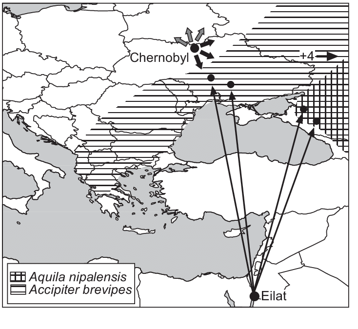 The-wind-directions-at-Chernobyl-during-days-1-and-2-after-the-disaster-were-to-the-north.png