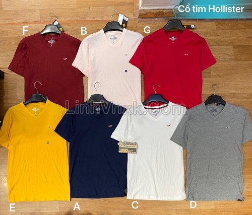 ao-thun-cotton-hollister (1)(1).jpg