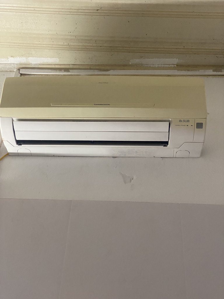 IMG_8610.jpeg