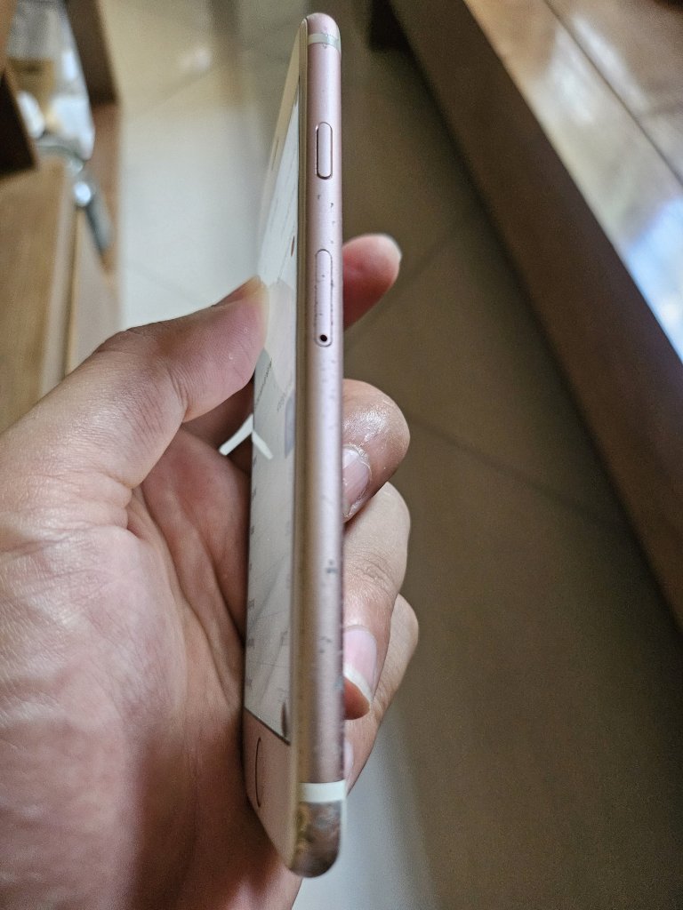 1000080262.jpg
