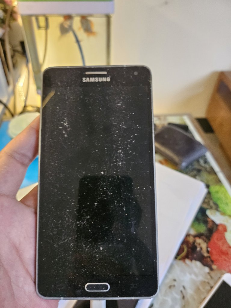 1000080269.jpg
