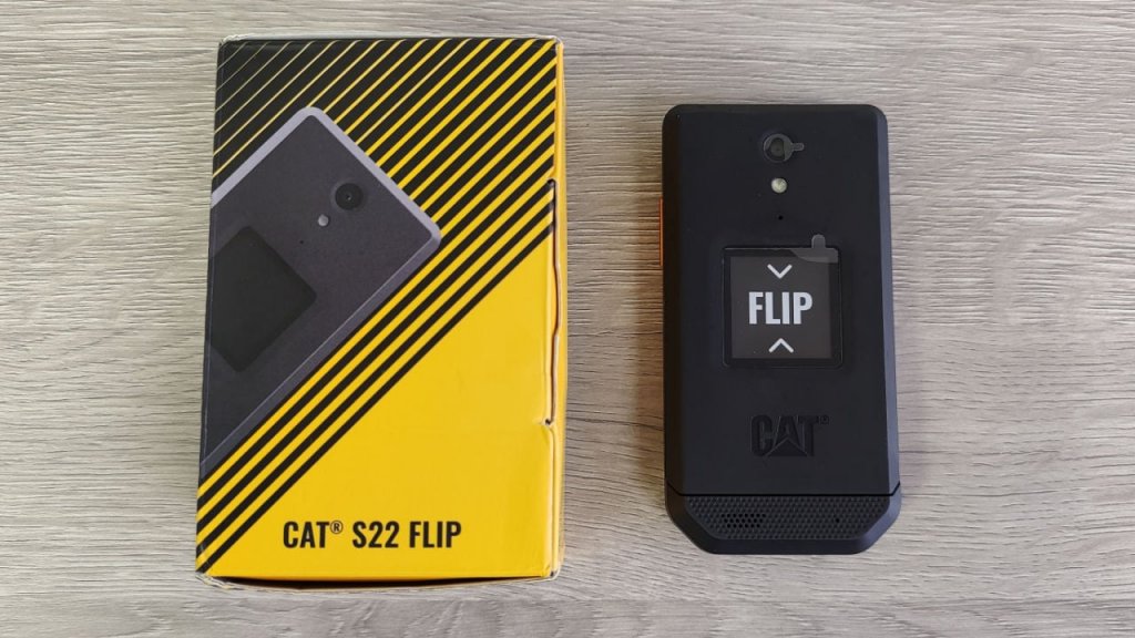 cat_s22_flip_02.jpg