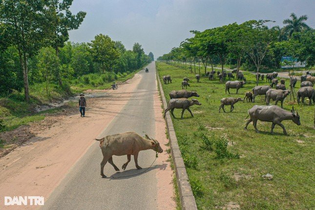 Nhơn trạch.jpg