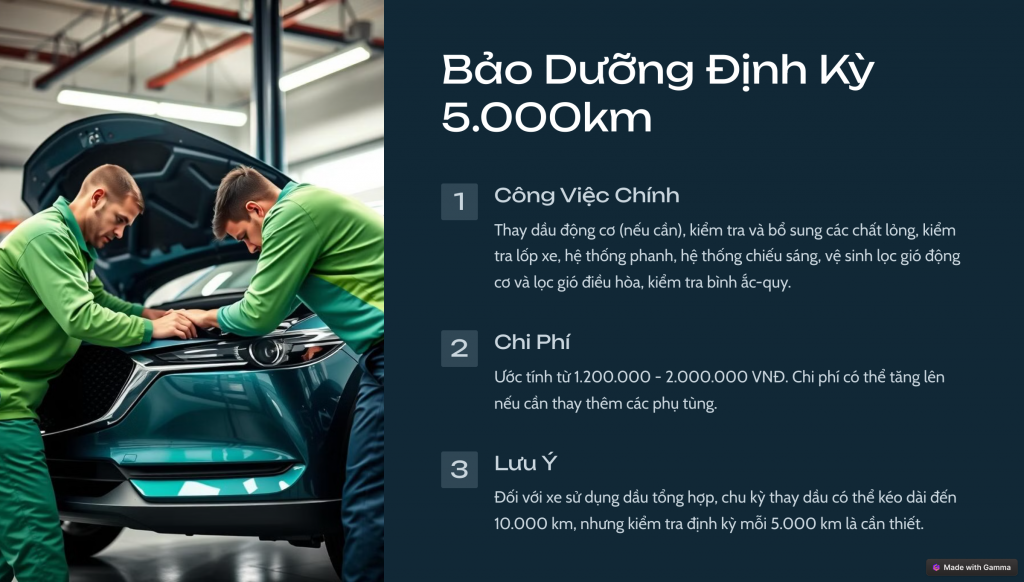 2_Bảo Dưỡng Định Kỳ 5.000km.png