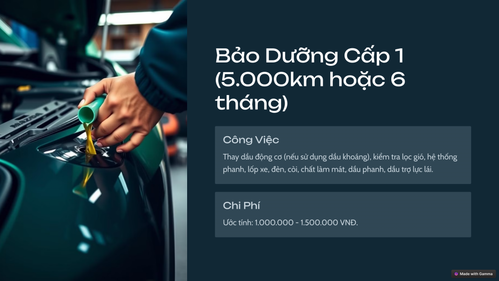 3_Bảo Dưỡng Cấp 1 (5.000km hoặc 6 tháng).png