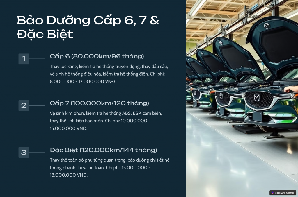 6_Bảo Dưỡng Cấp 6, 7 & Đặc Biệt.png