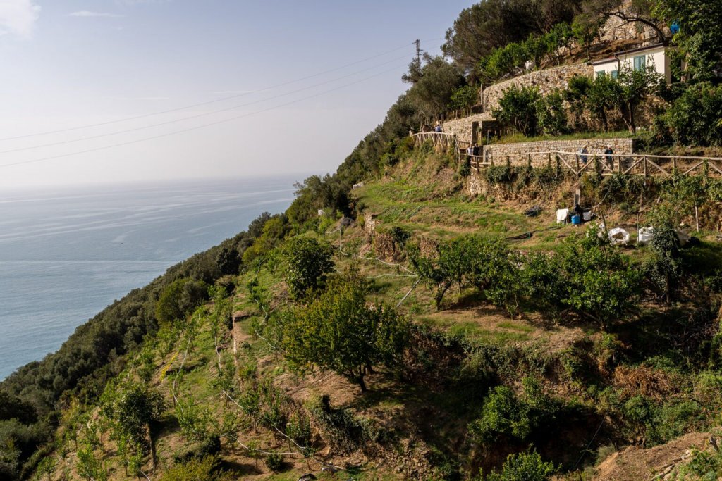 Hiking-the-Blue-Trail-to-Monterosso-al-Mare-in-Cinque-Terre-1536x1024.jpg