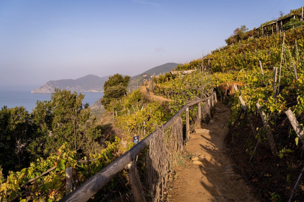 Hiking-to-Corniglia-1536x1024.jpg