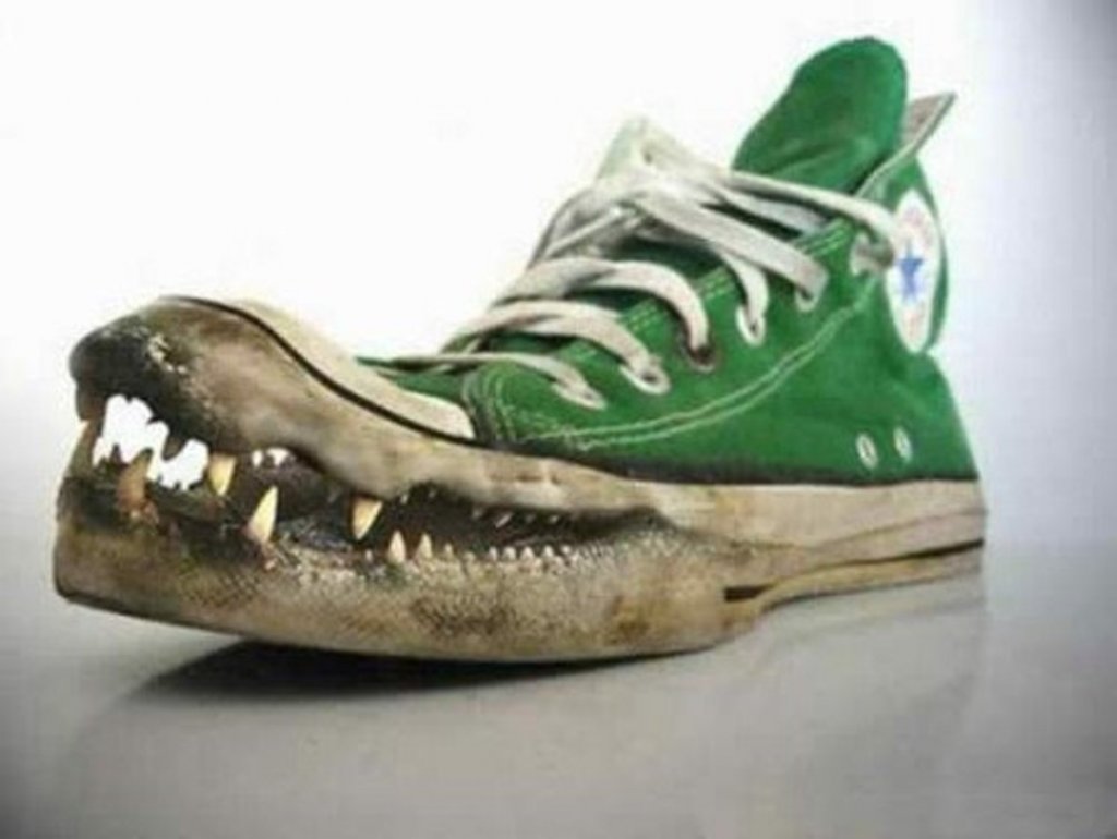 25-weird-shoes-of-the-internet.jpg