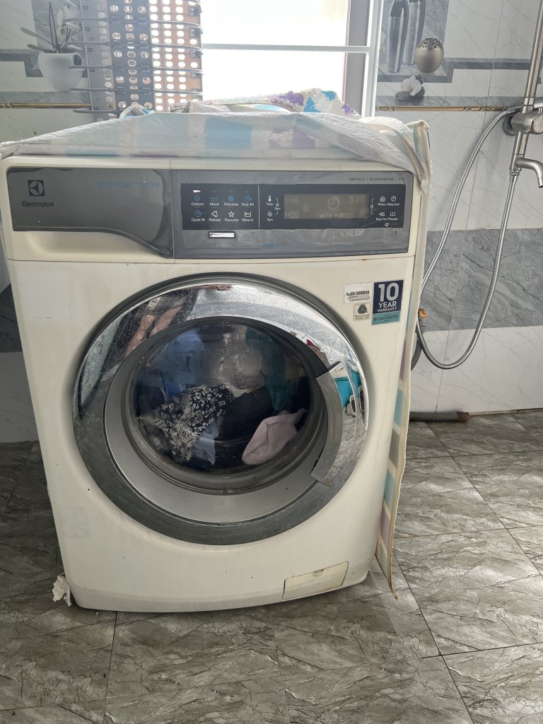 IMG_3271.jpeg