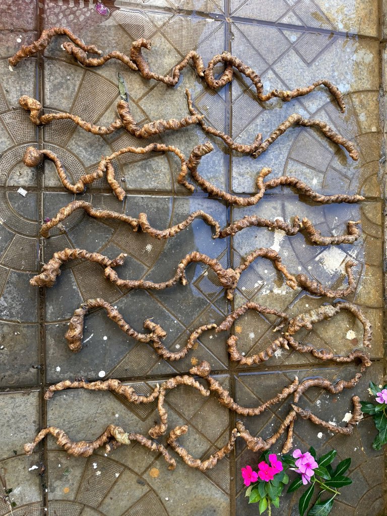 IMG_4056.jpeg