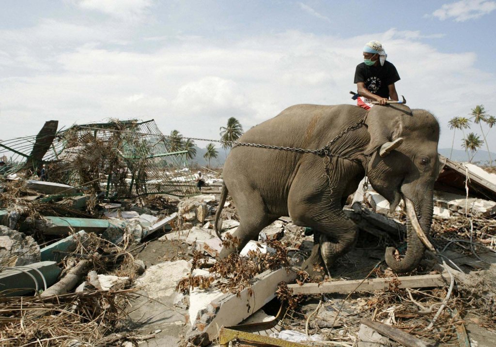 Tsunami_Indonesia (133).jpg