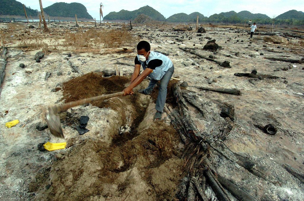 Tsunami_Indonesia (196).jpg