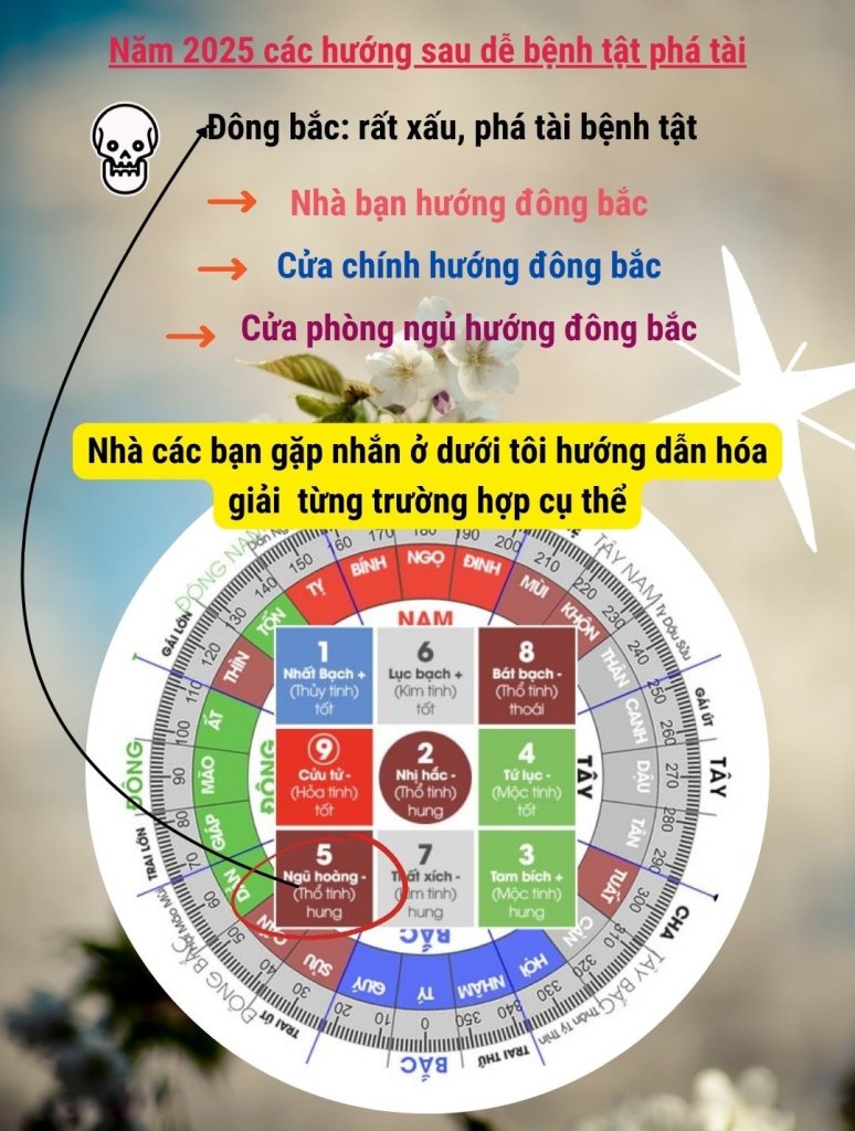 ngũ hoàng.jpg