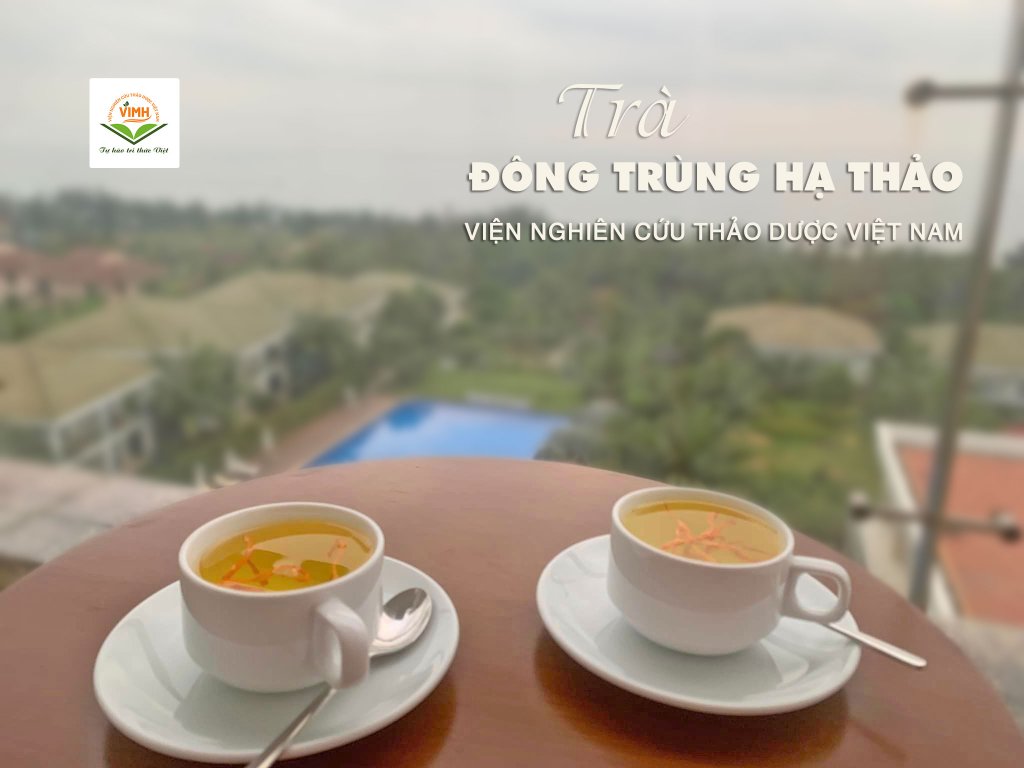 tra-dong-trung-ha-thao-vien-nghien-cuu-thao-duoc-viet-nam.jpg