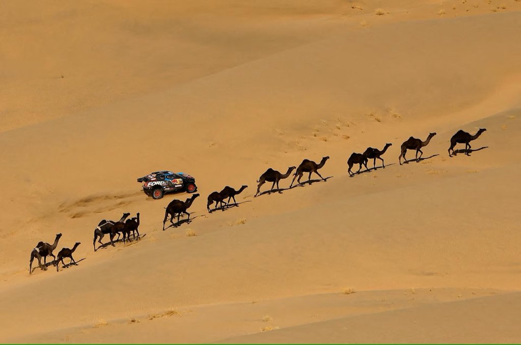 Dakar Rally 2025 (37).jpg