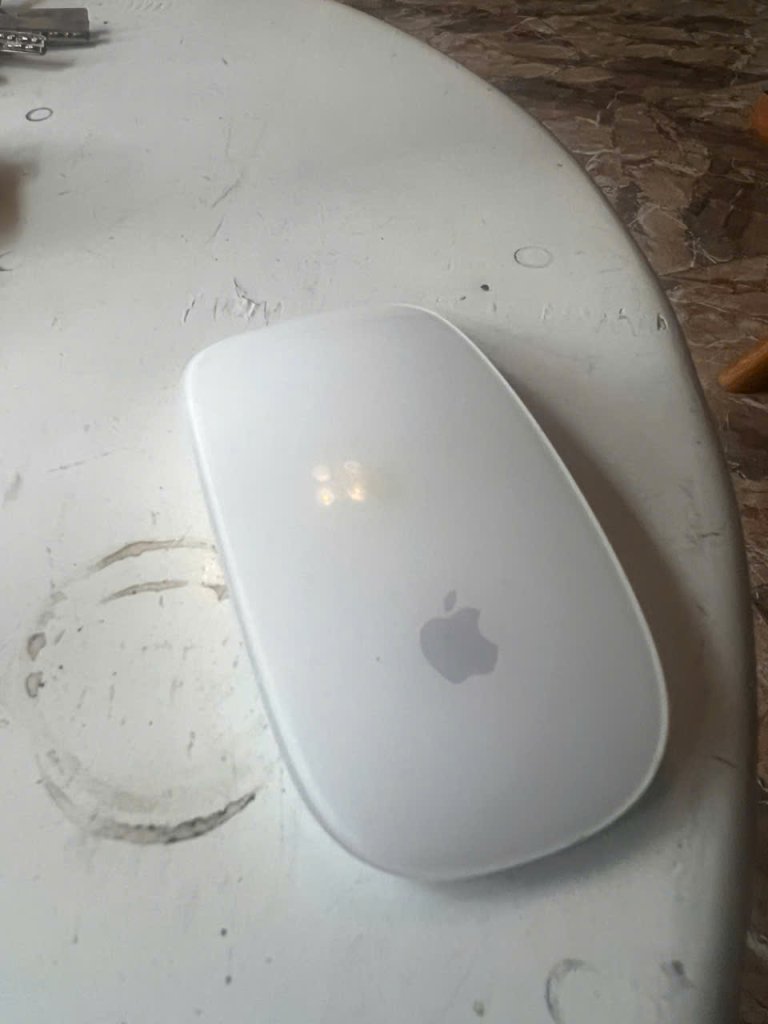 mouse2.jpg