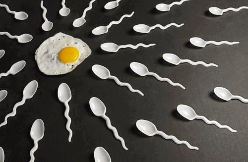 Sperm-sudu.jpg