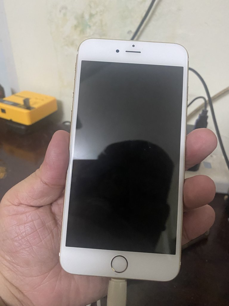 IMG_1107.jpeg