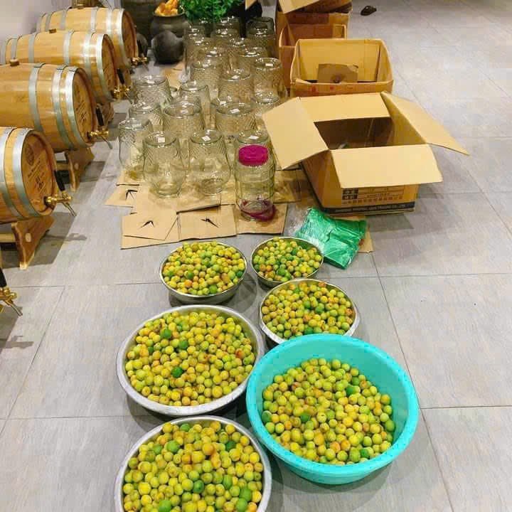 1000031003.jpg