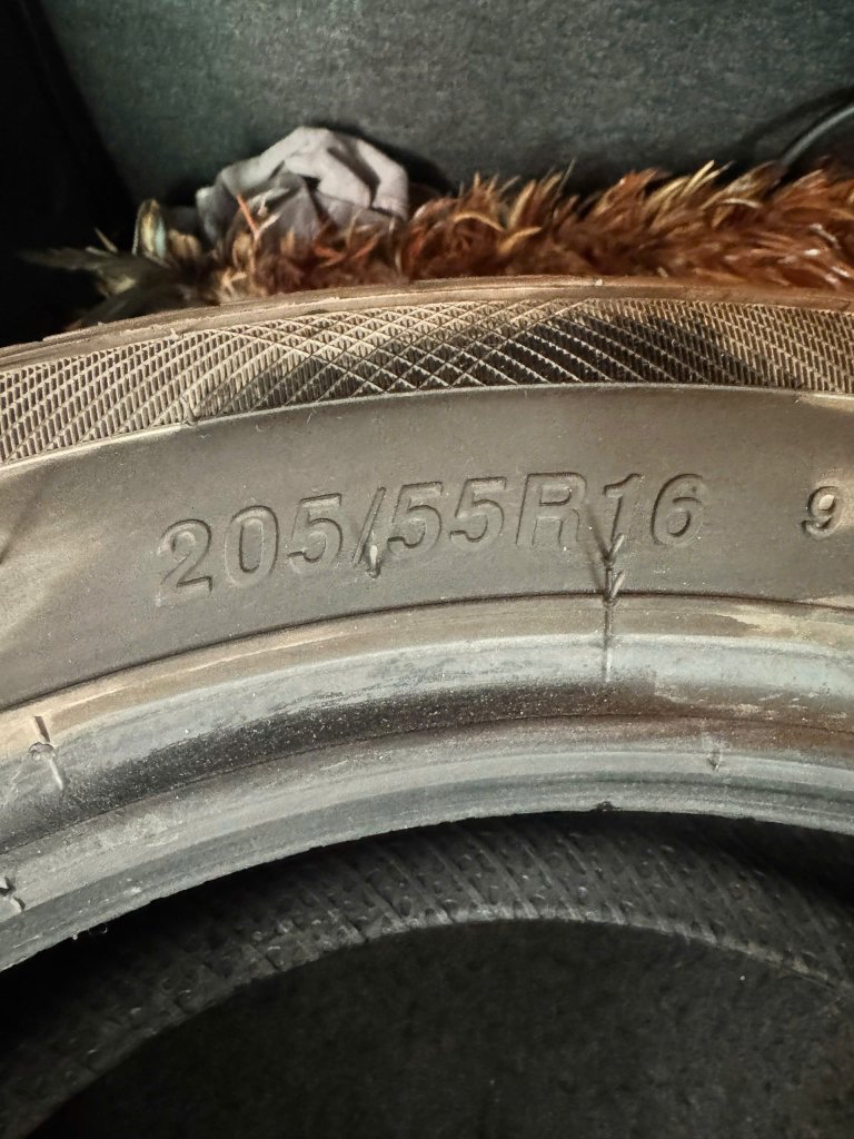 z6523595942771_d365b0b57f898b1bcb91d43e72f8933c.jpg
