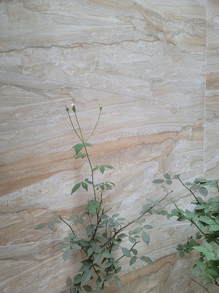 20250316_144724.jpg