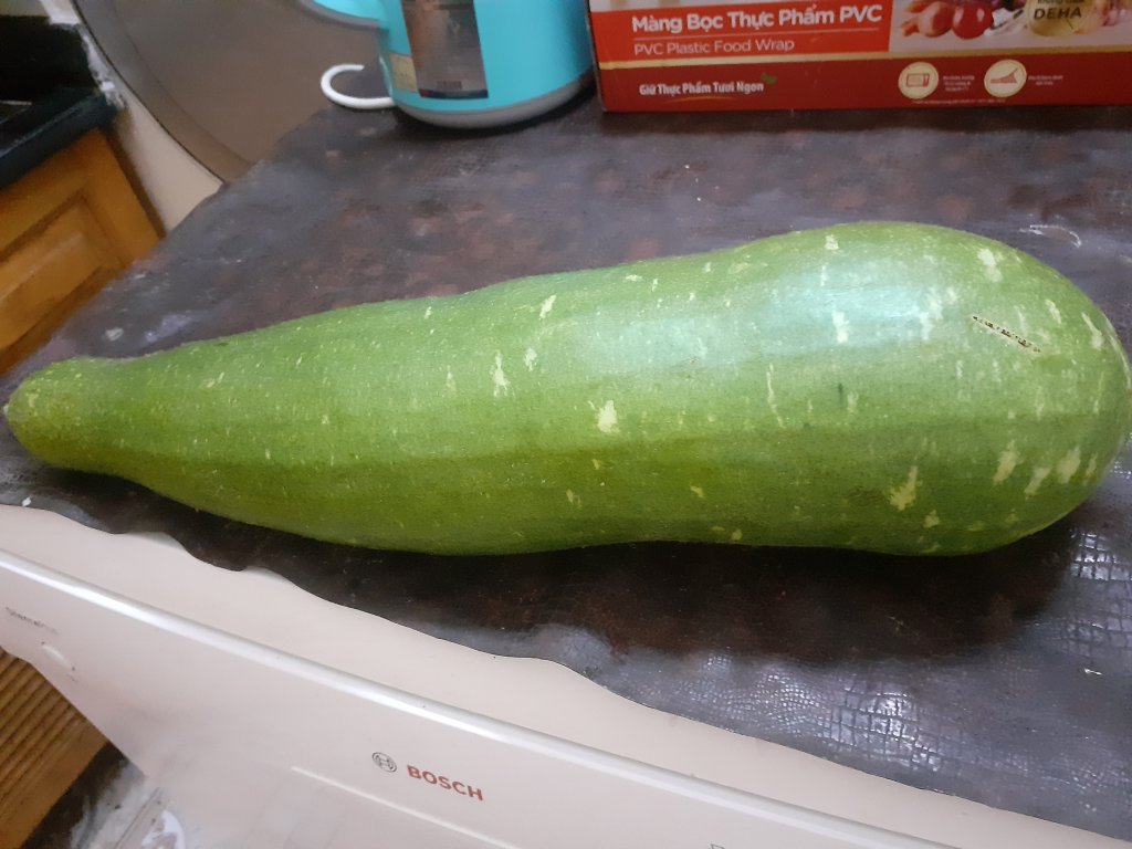 20250424_103647.jpg