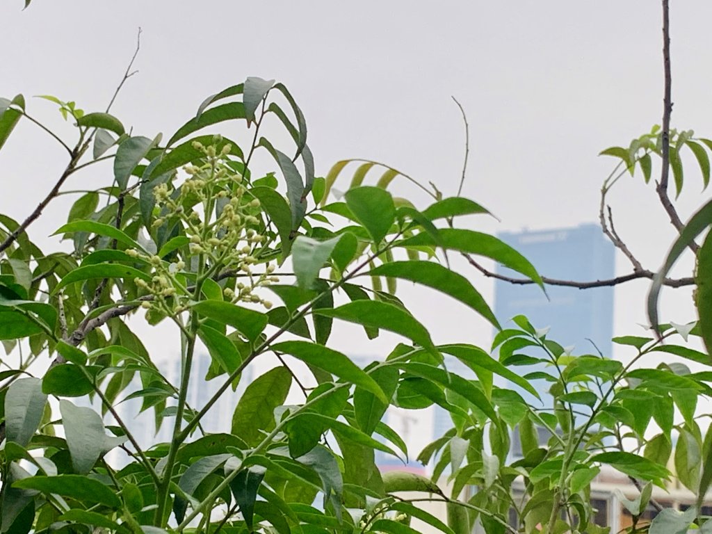 C104164A-03CF-4128-B8A4-BFCF00588E82.jpeg