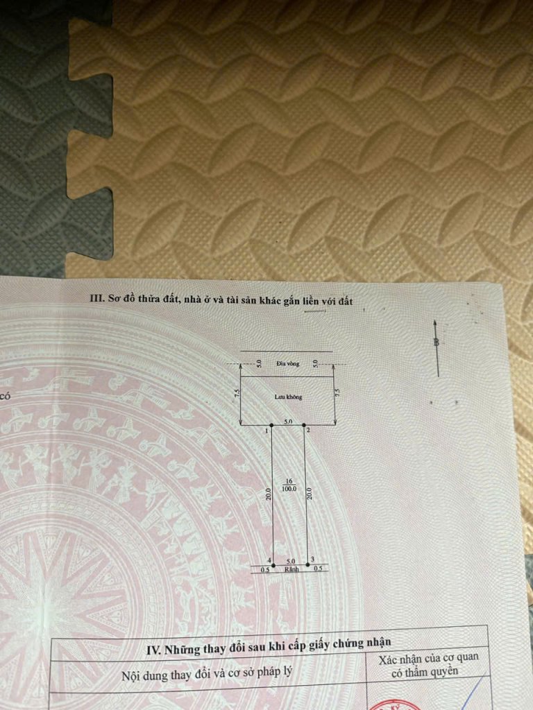 z6548883848642_335828004aaa34a208f11642be00f8be.jpg