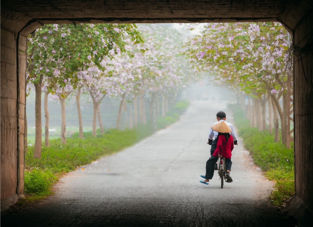 Ảnh số 5