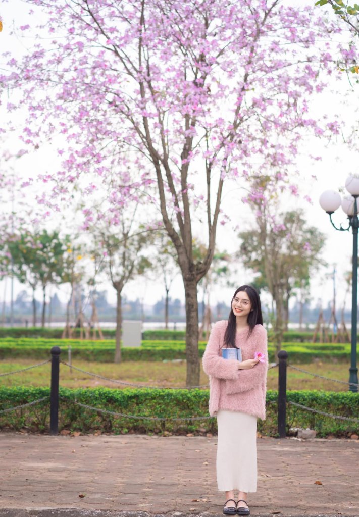Ảnh số 7