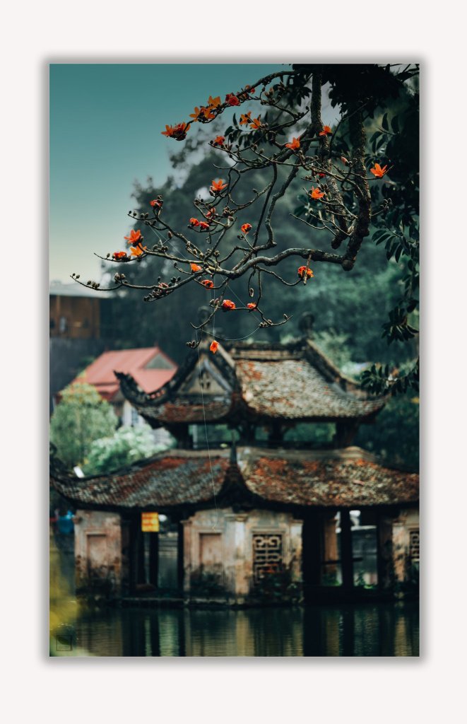Ảnh số 10