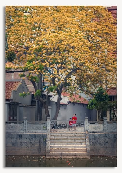 Ảnh số 11