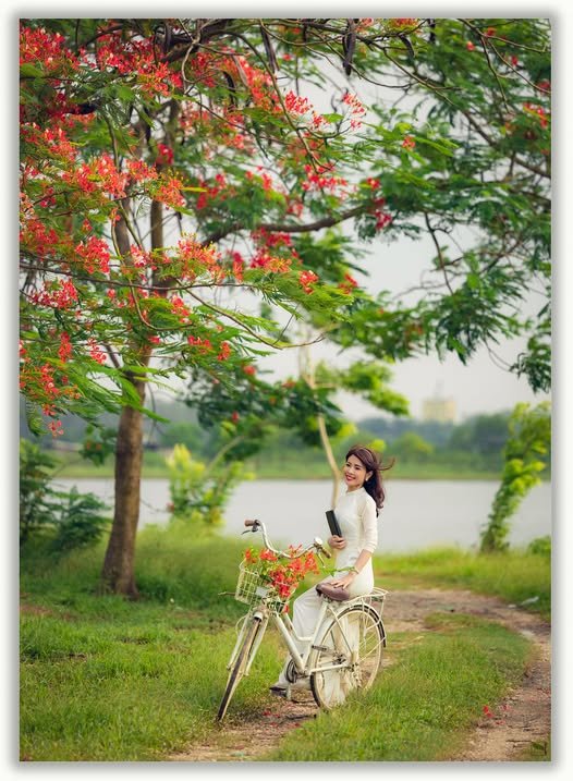 Ảnh số 15