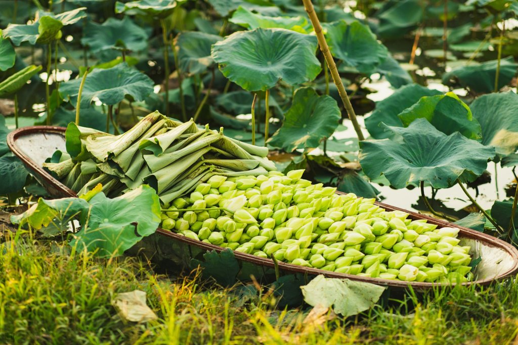 Ảnh số 19