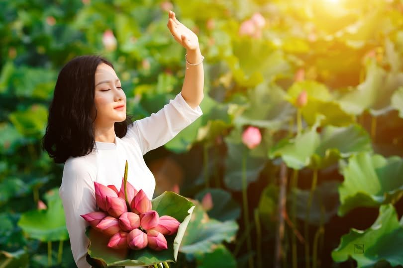 Ảnh số 17