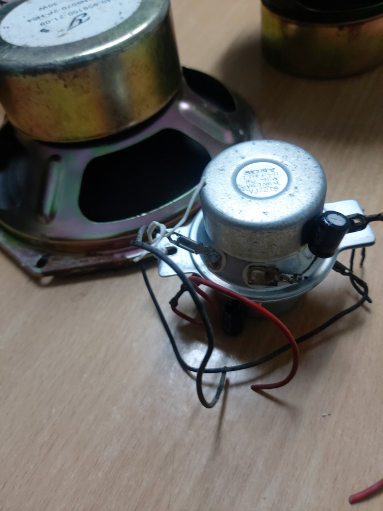 20250331_094147.jpg